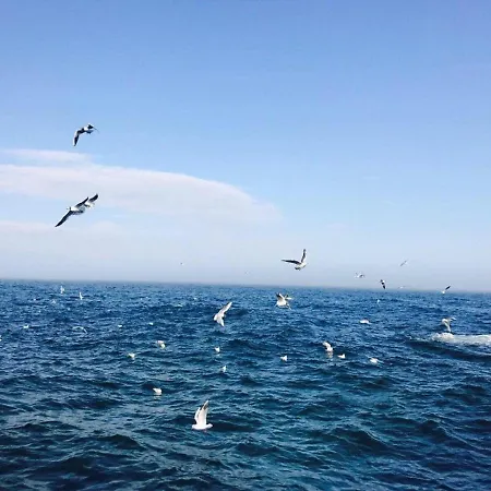 Costafontana Lägenhet