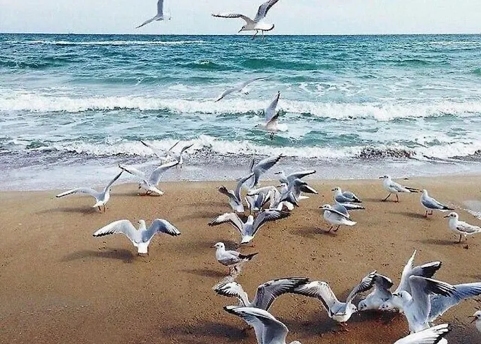 Appartement Costafontana Odessa