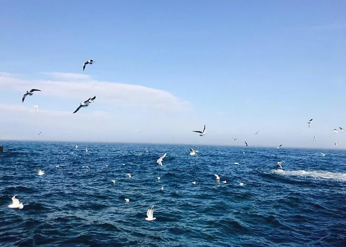 Costafontana Apartment